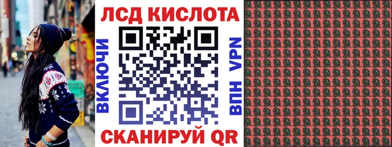 дарнет шоп  omg ссылки  Наркотические марки 1500мкг  Зуевка 