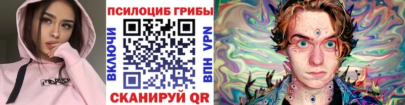 Галлюциногенные грибы Cubensis  продажа наркотиков  Зуевка 